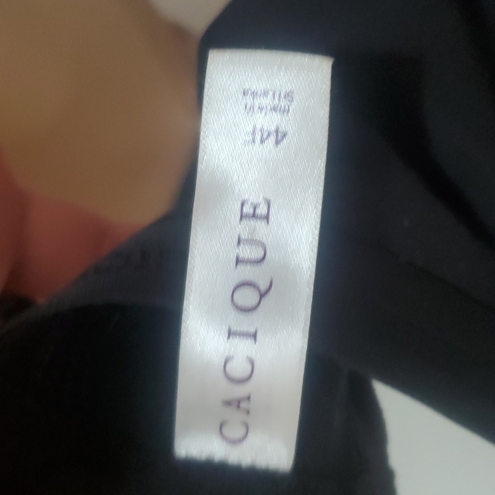 Cacique Bra - image 3